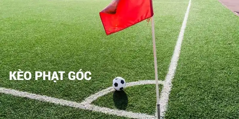 Cách chơi kèo góc cực chi tiết từ hệ thống 77win